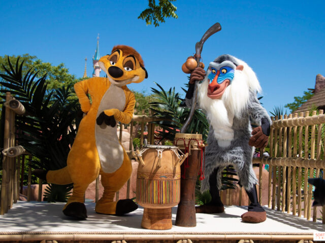 Disneyland Paris Go Ticketless Zero Deposit Pay Later Official Partner Lion King