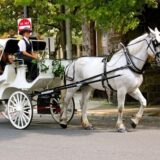 Top 10 Most Popular New York City Tours & Attractions in 2025/2026