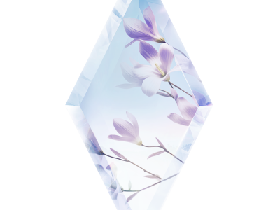 ©2026 World of Frozen Disneyland Paris 29th March 2026 Official Park Tickets Appl Linkable Low Deposit Pay Later.